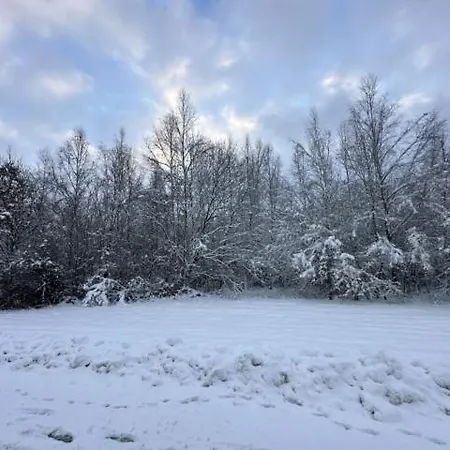 Romydays * Frenkhausen