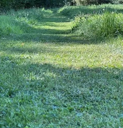 Romydays Frenkhausen