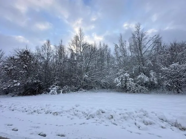 Romydays * Frenkhausen